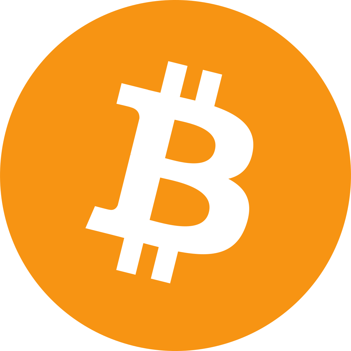 bitcoin logo