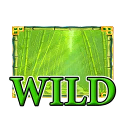 wild symbol