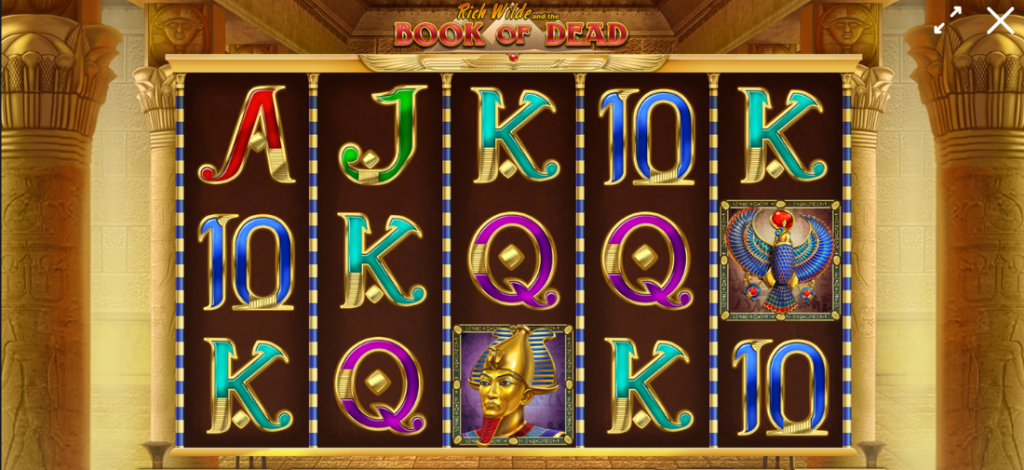 Book of Dead Pokie