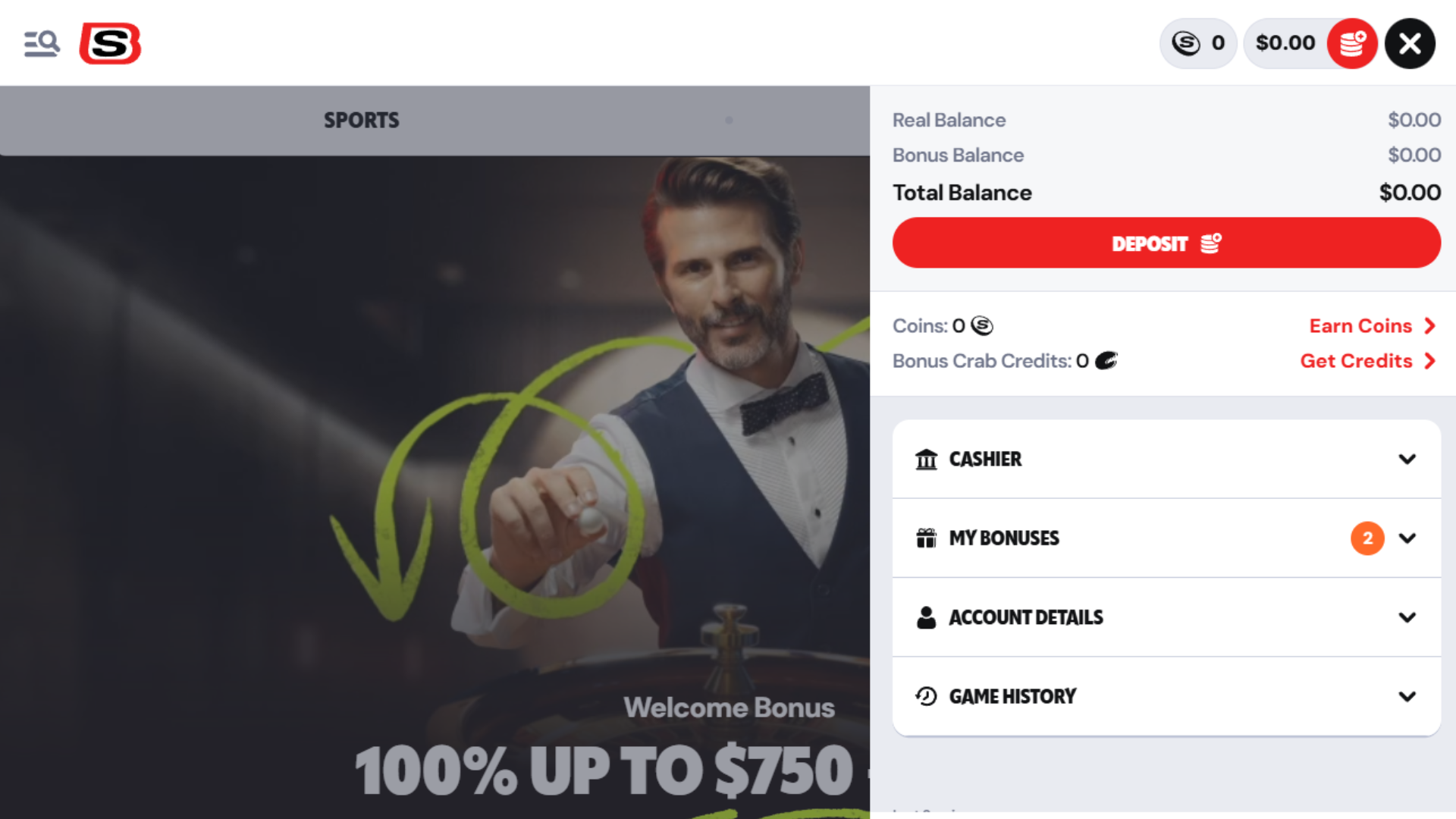 Supabet Account Section